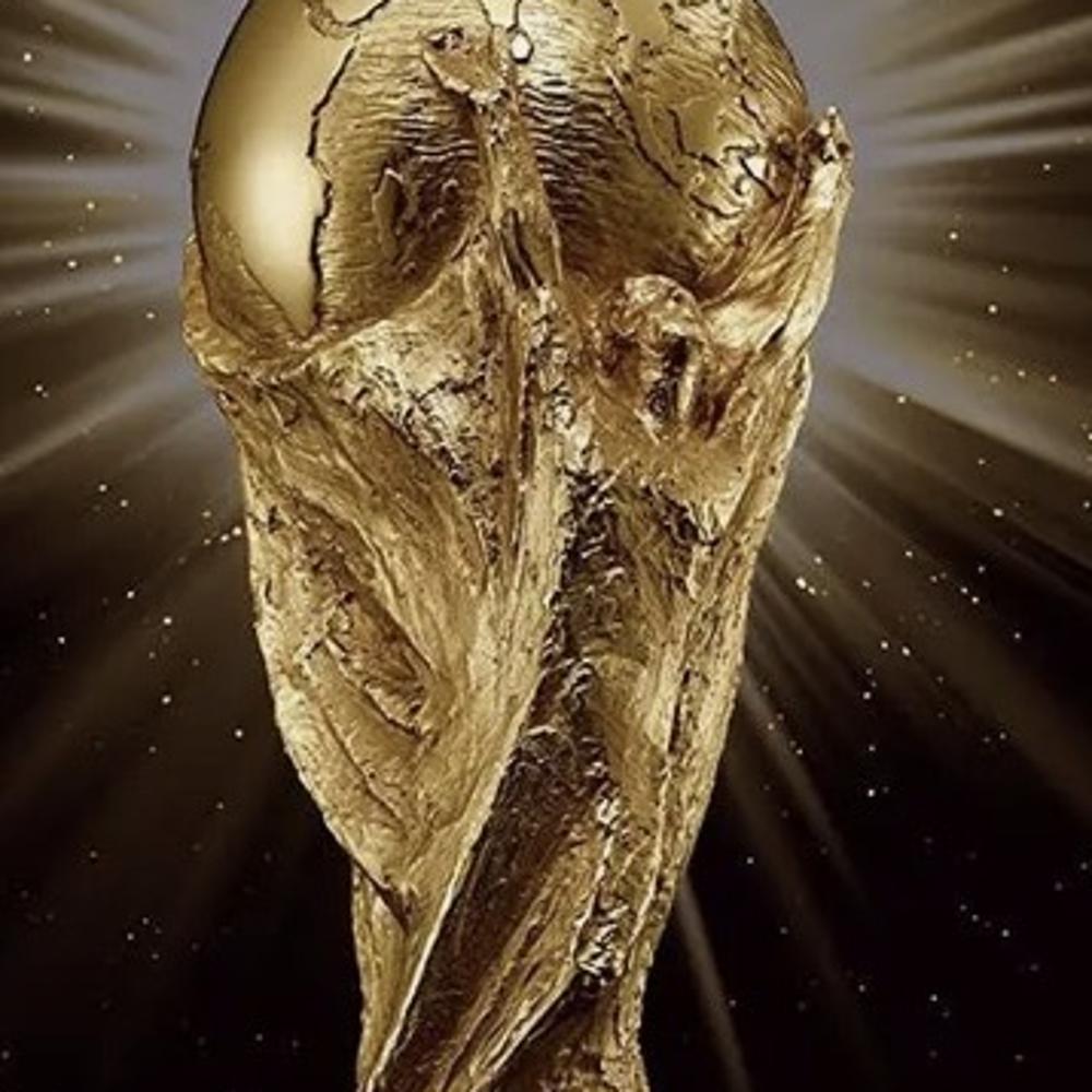 VM finale